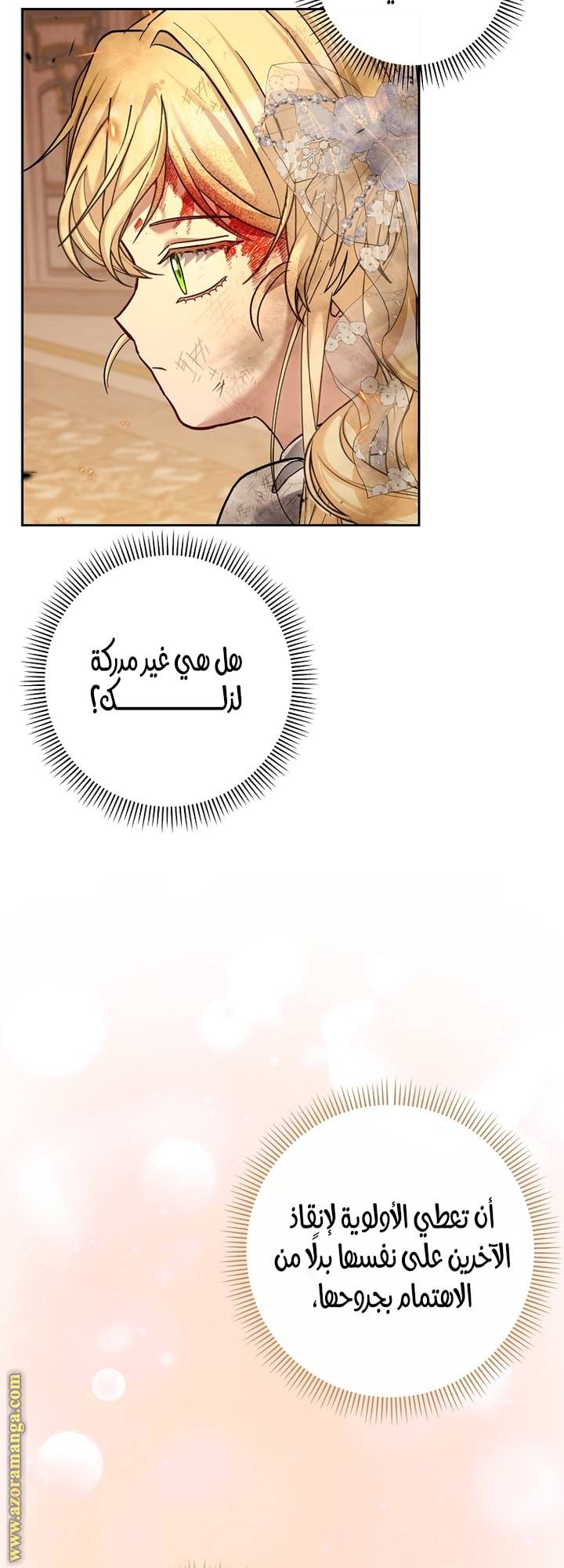 الصفحة 48