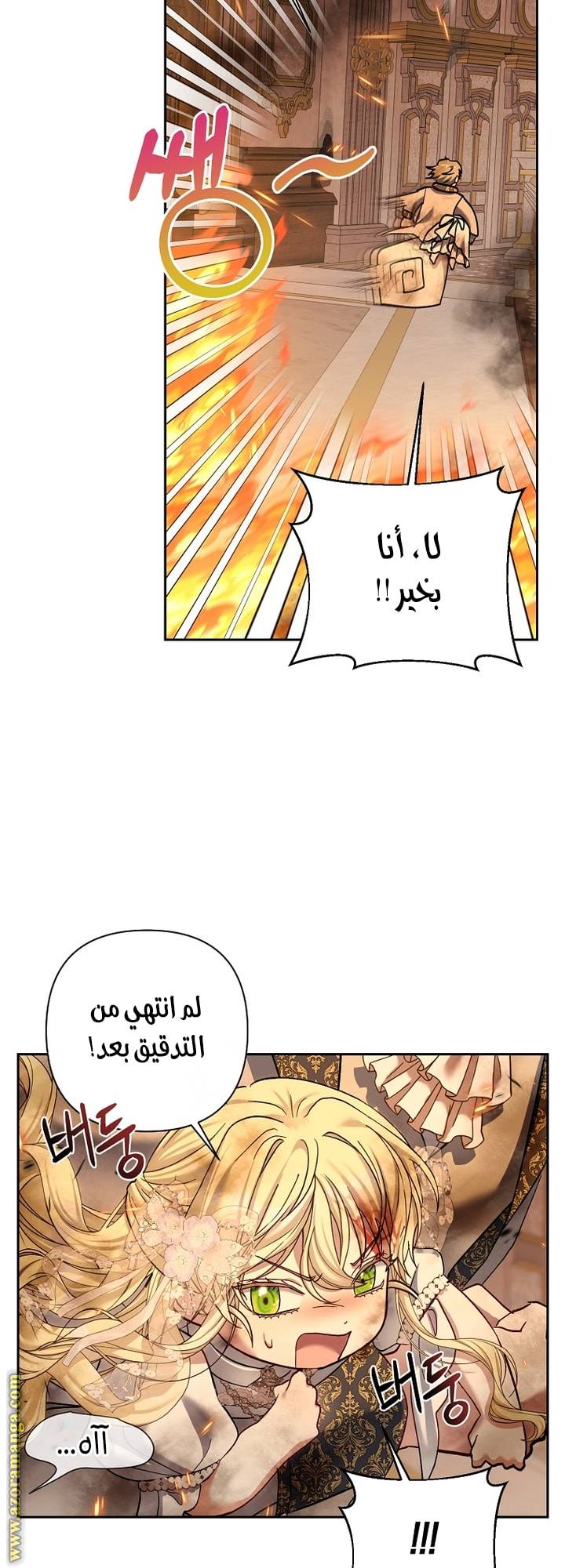 الصفحة 51