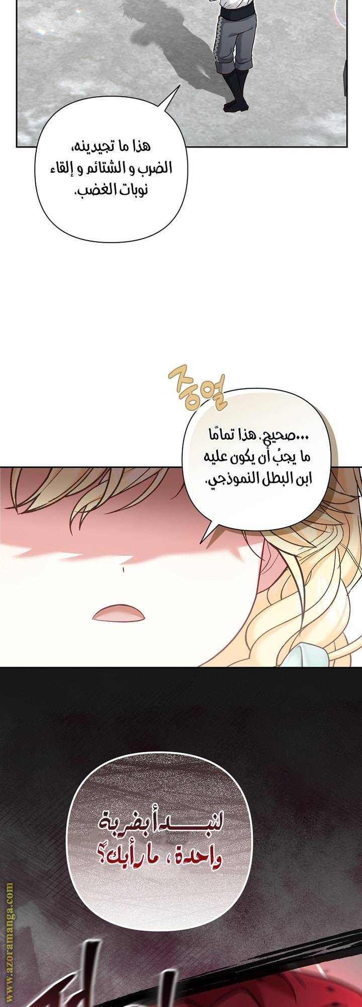 الصفحة 27