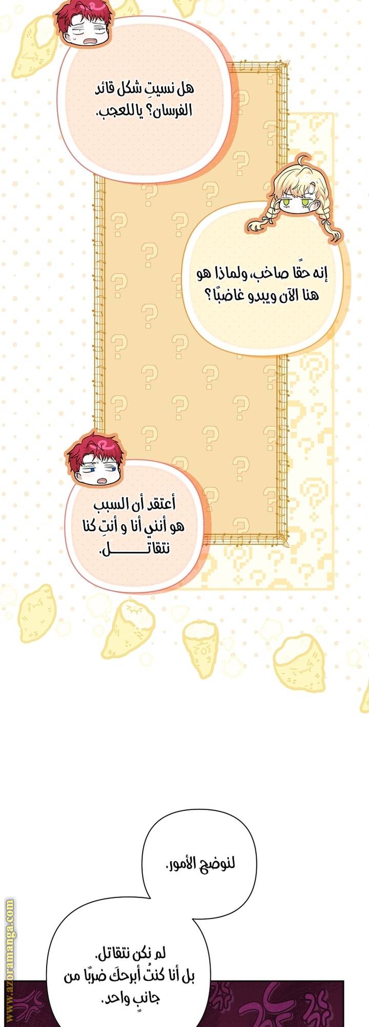 الصفحة 43