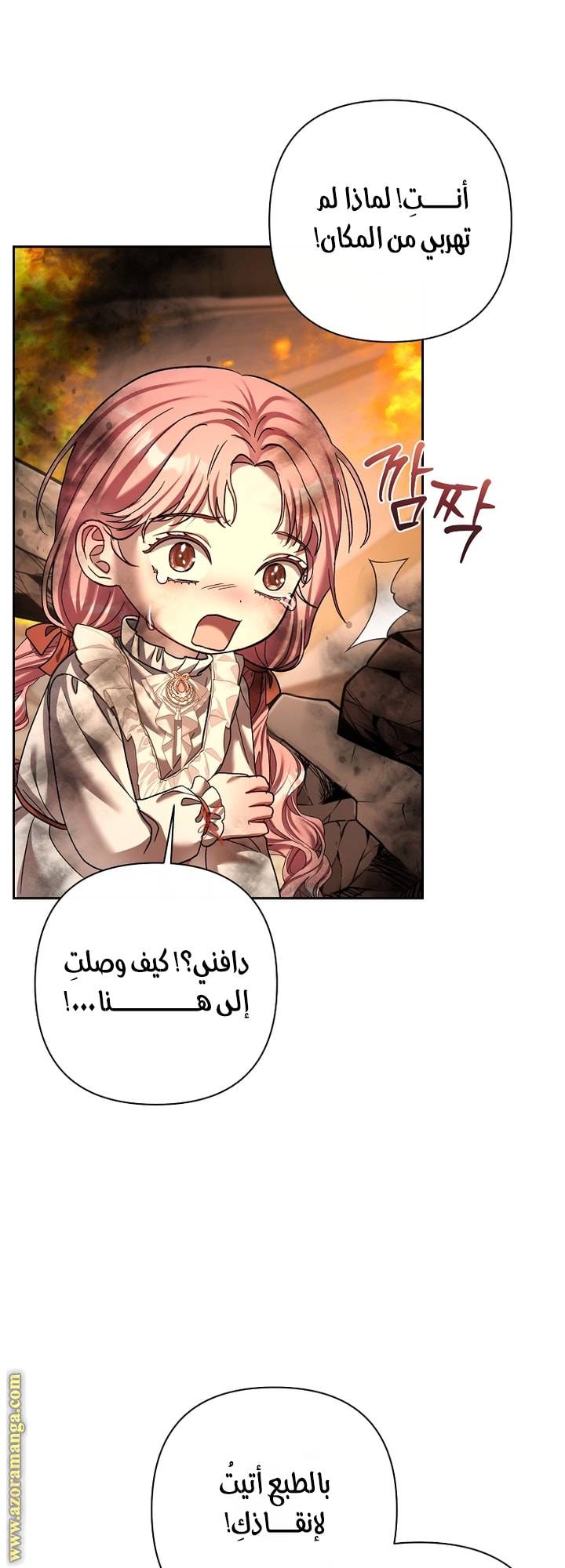 الصفحة 24