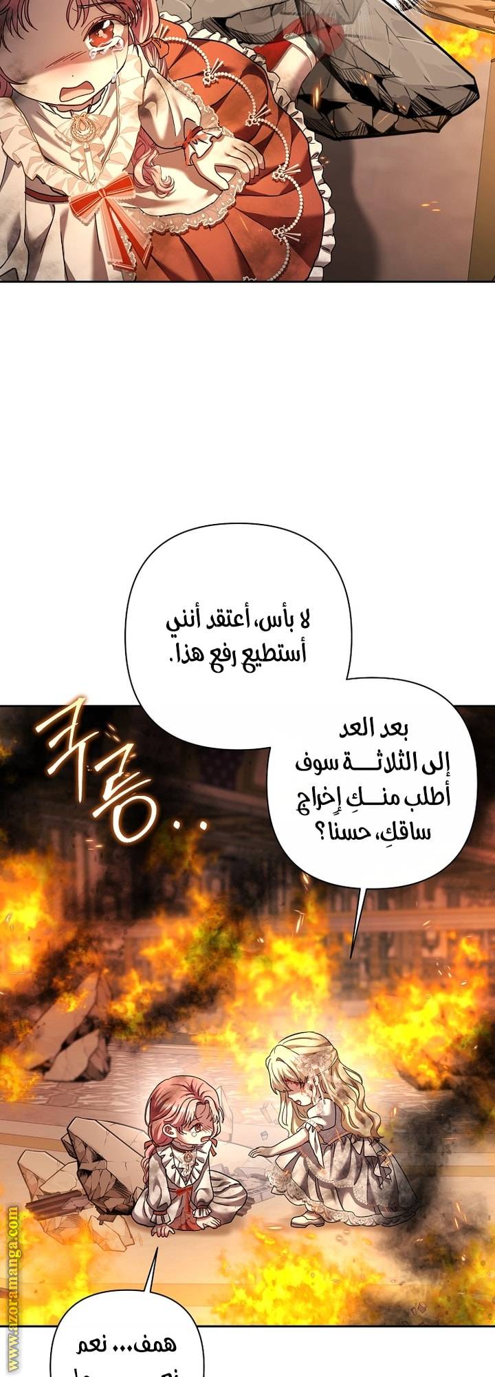 الصفحة 26