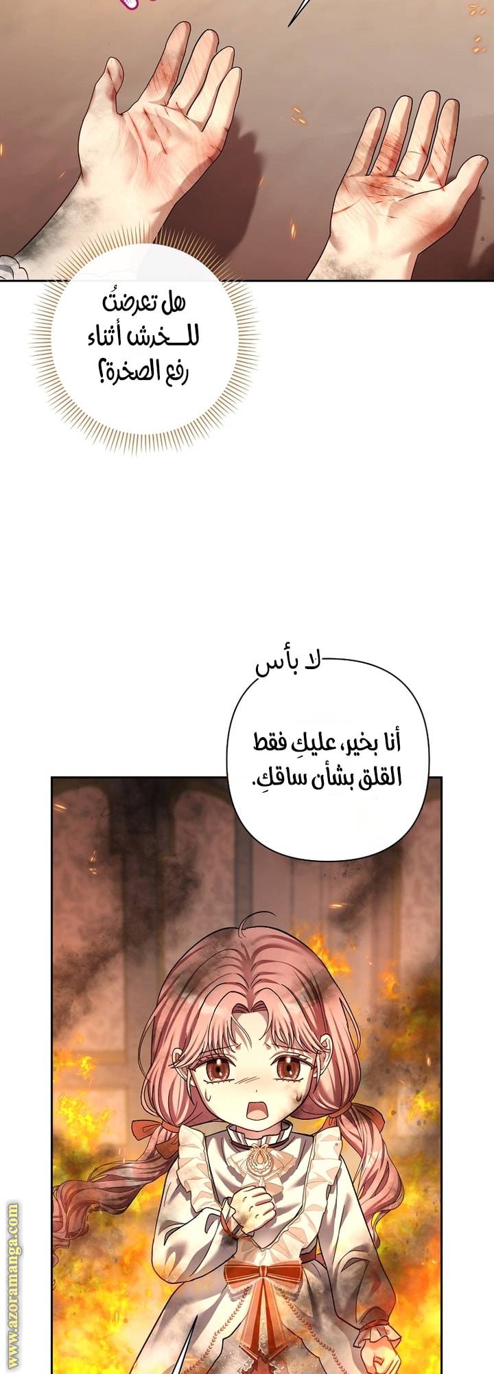 الصفحة 29