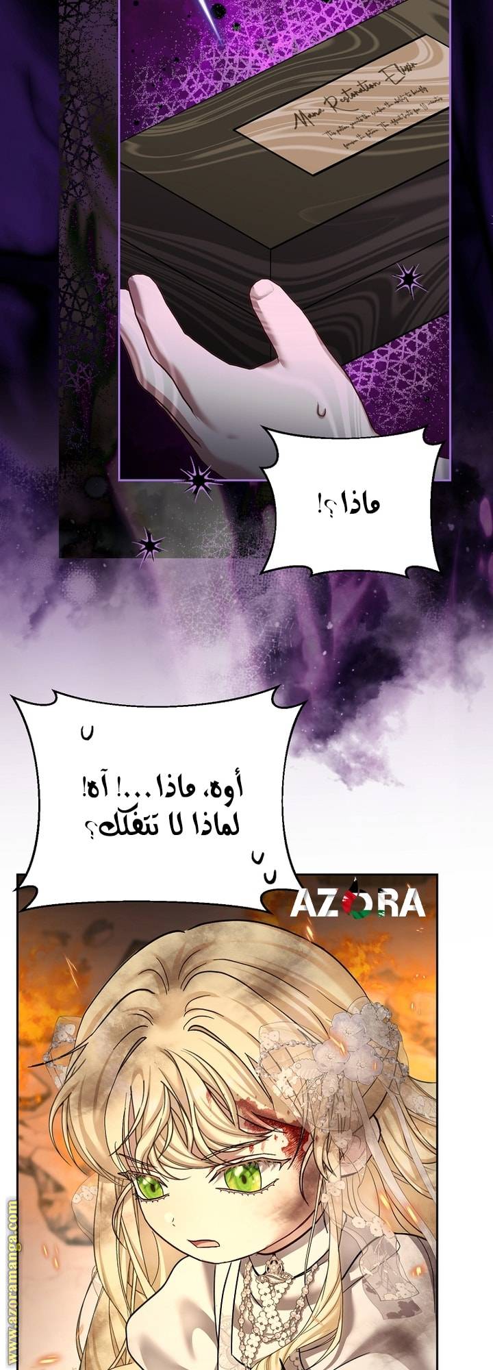 الصفحة 39
