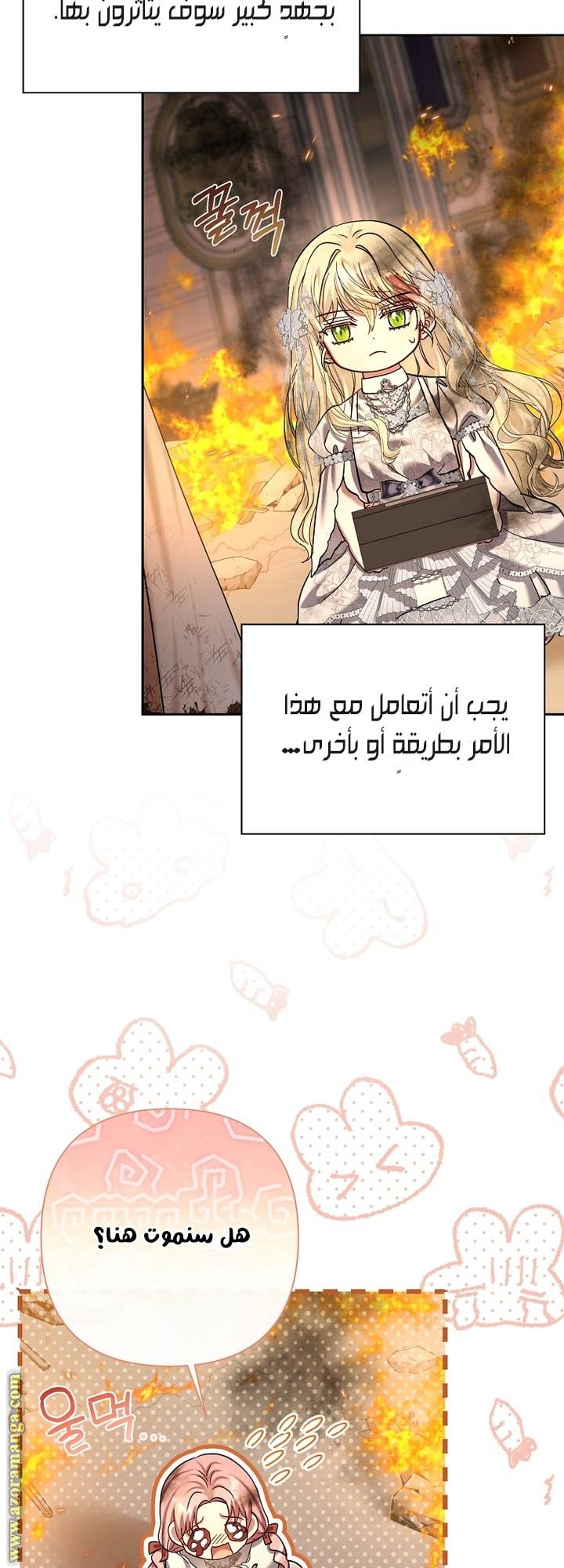 الصفحة 42
