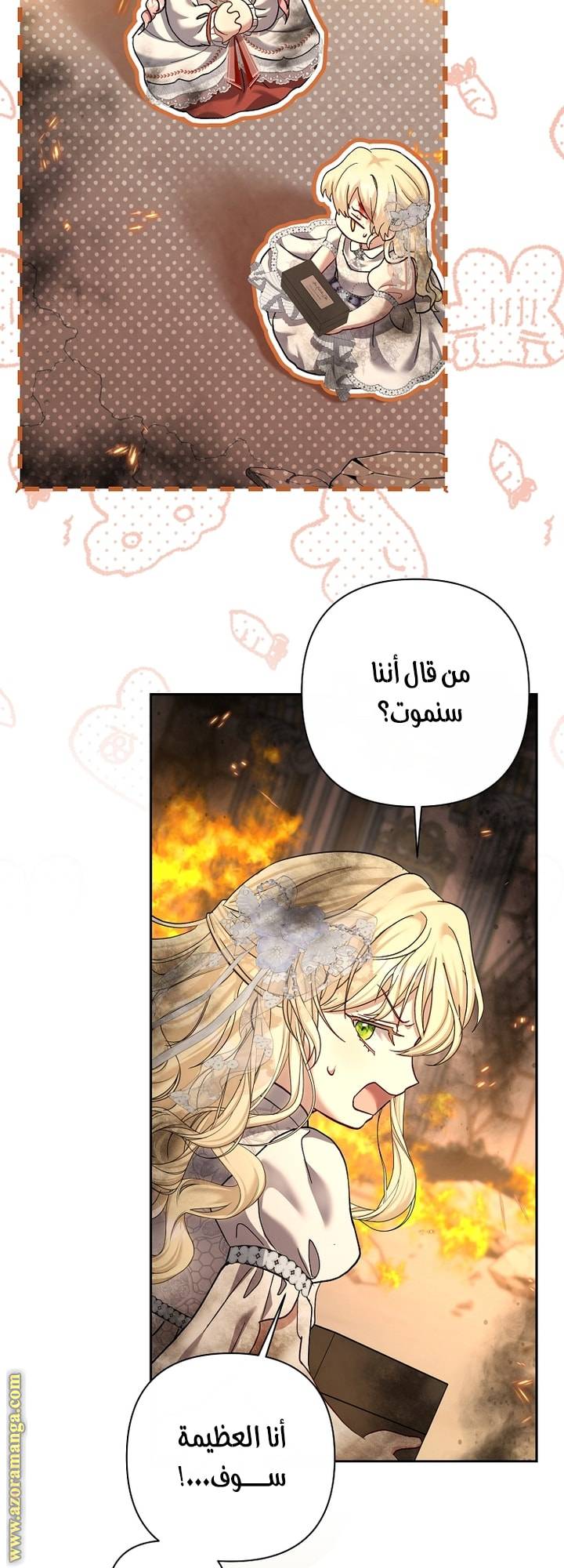 الصفحة 43