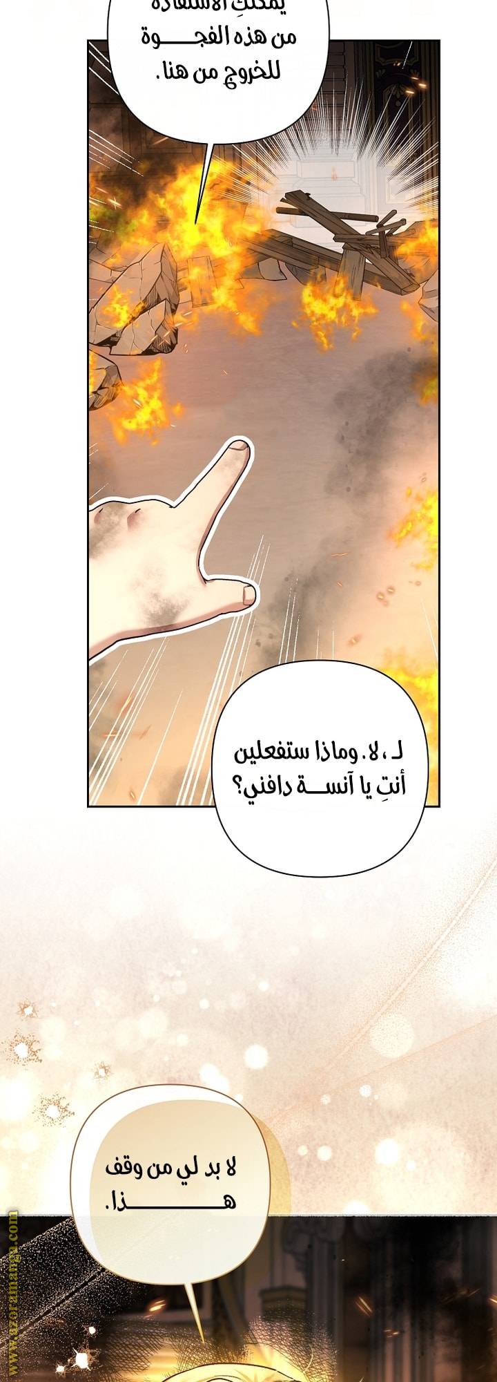 الصفحة 48