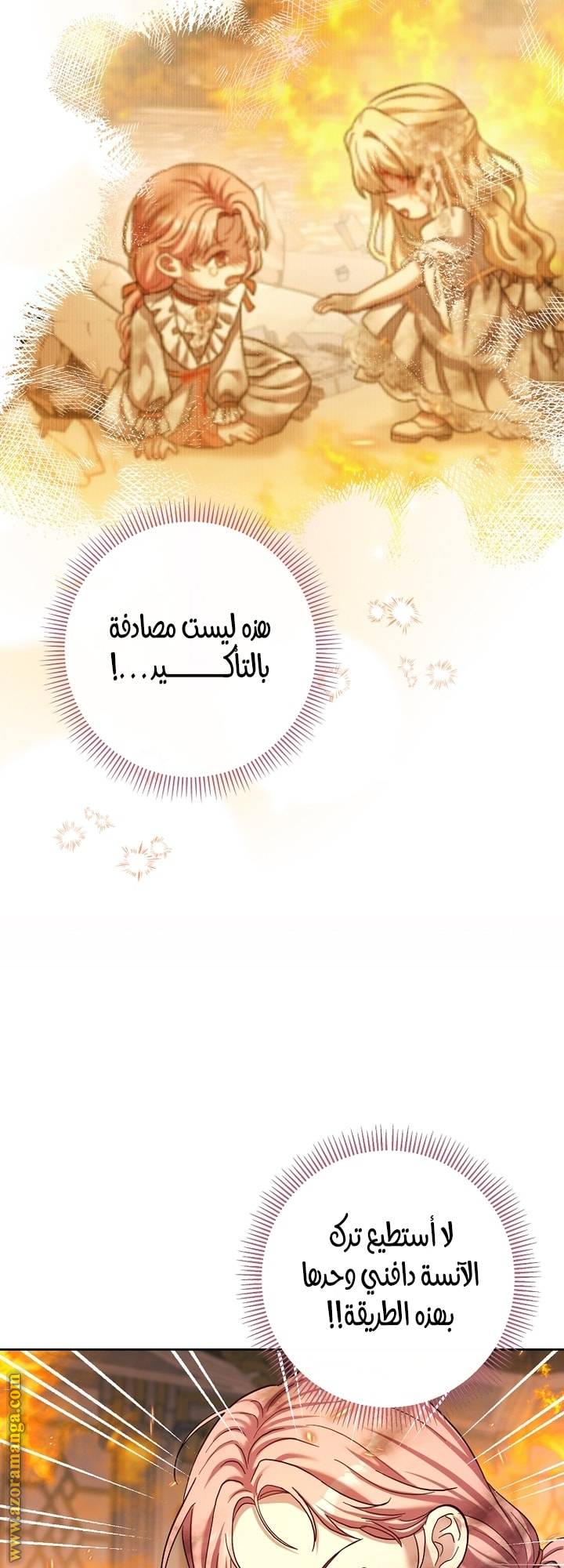 الصفحة 53