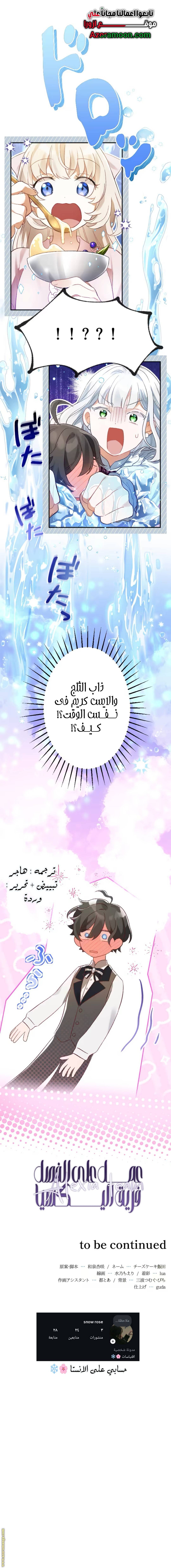 الصفحة 13