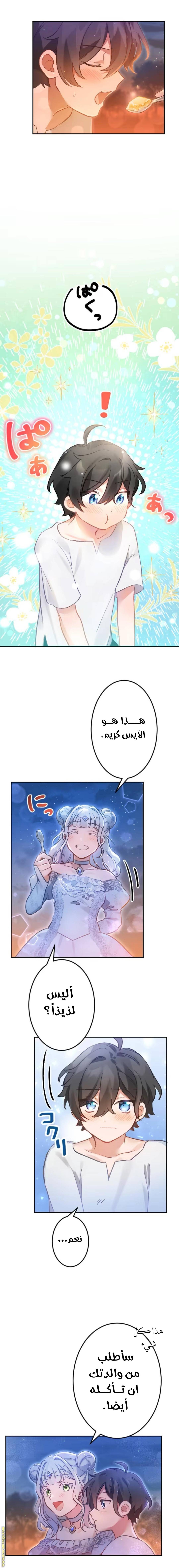 الصفحة 8