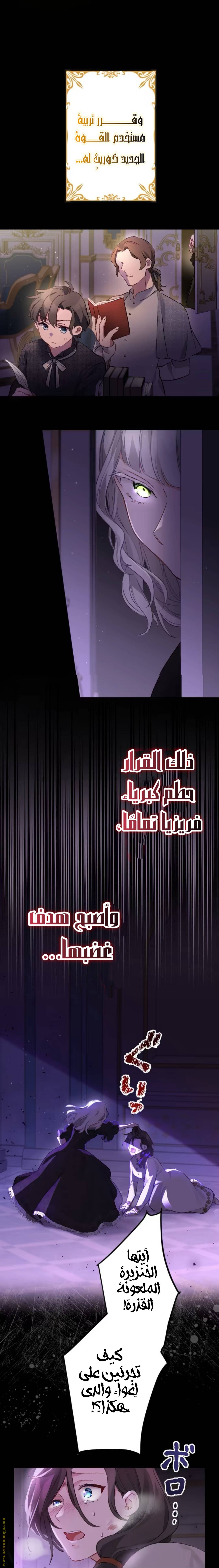 الصفحة 8
