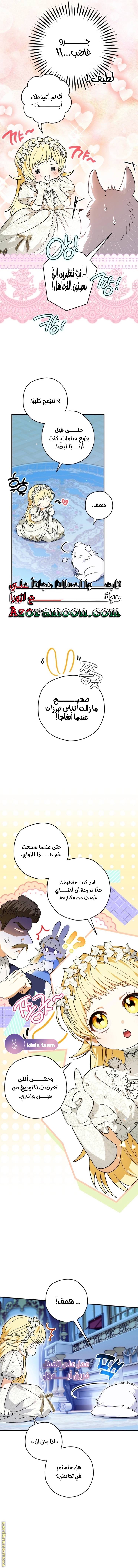 الصفحة 3