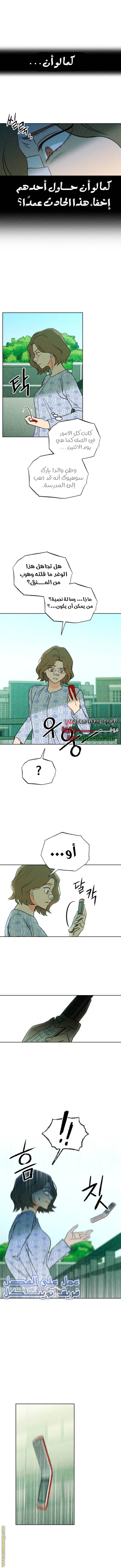 الصفحة 11