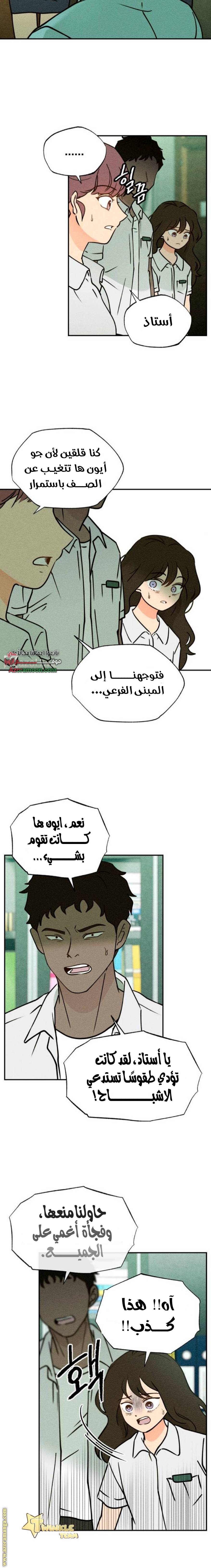 الصفحة 11