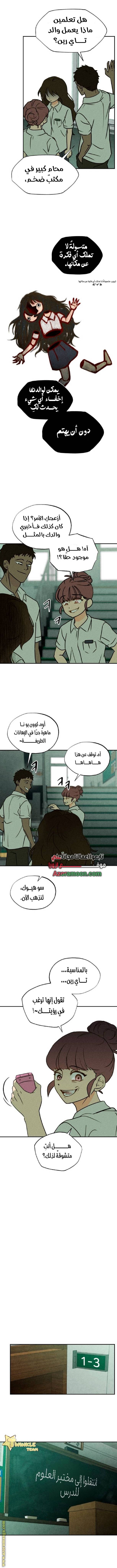 الصفحة 17