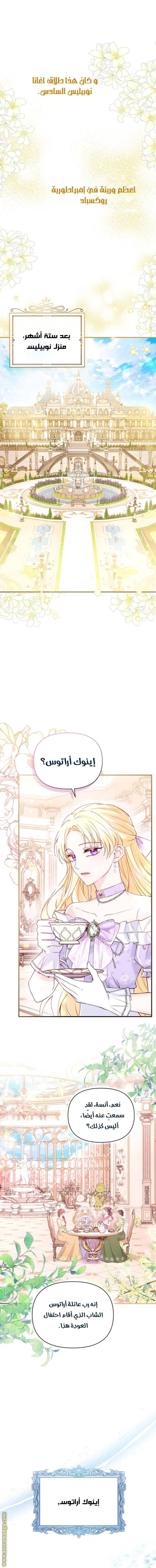 الصفحة 15