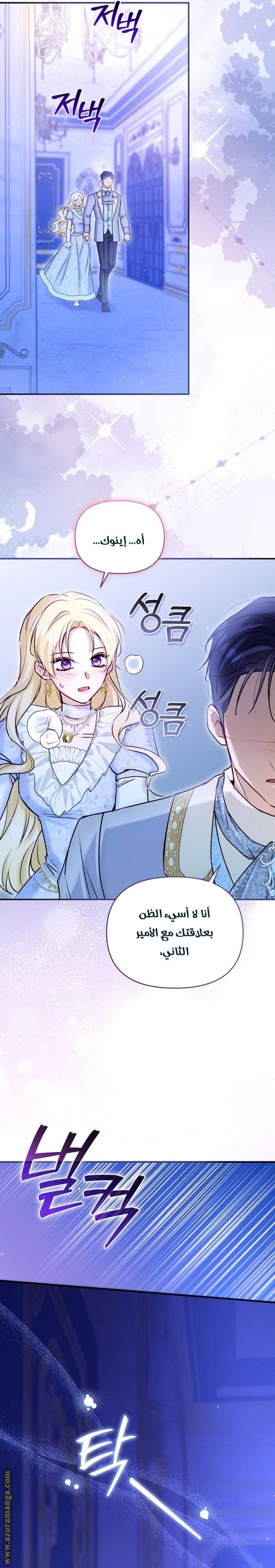 الصفحة 12