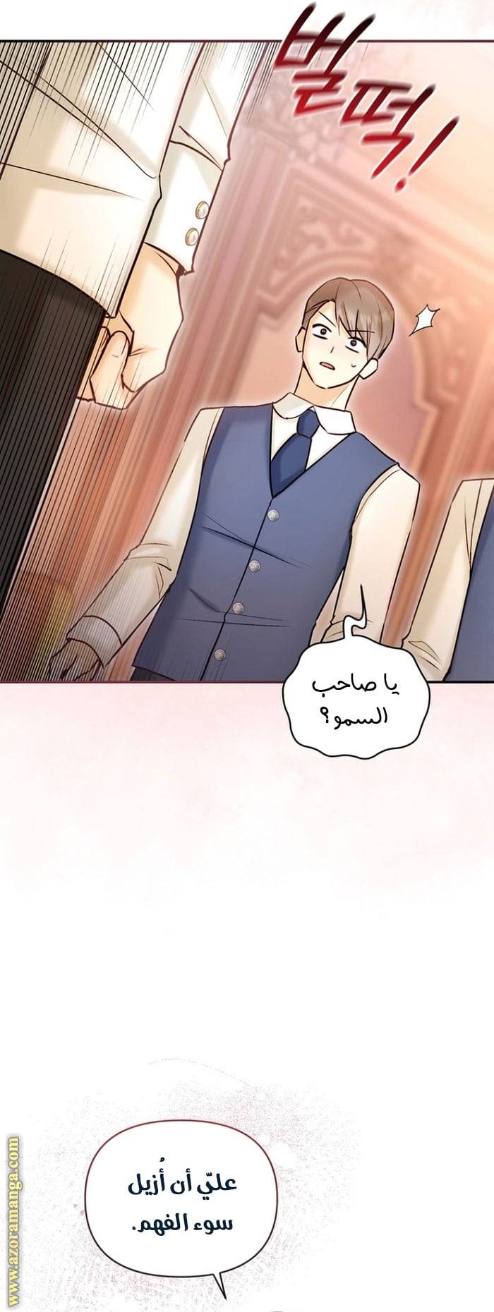 الصفحة 27