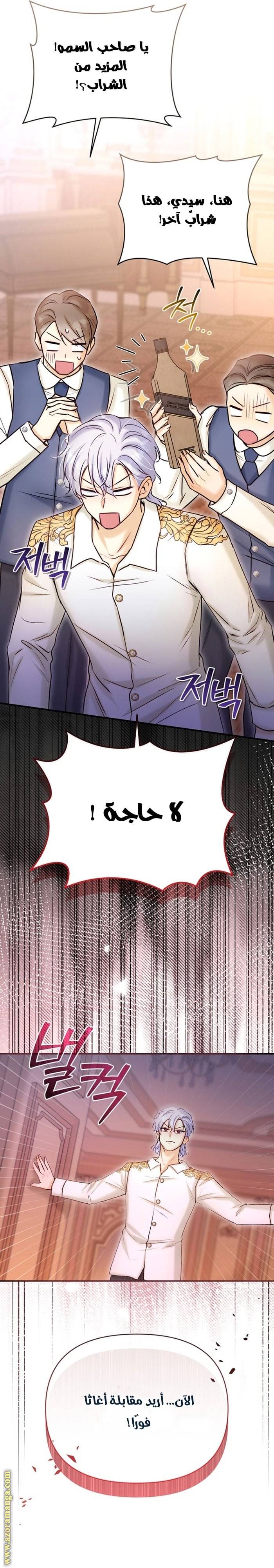 الصفحة 29