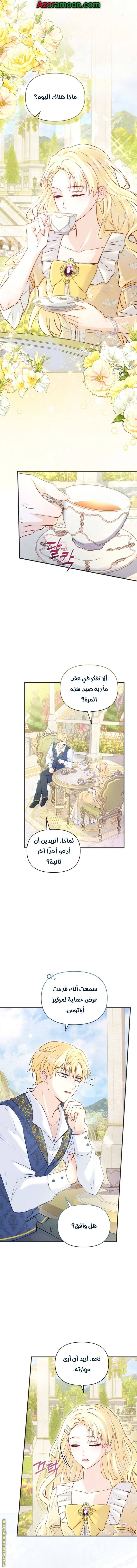 الصفحة 13