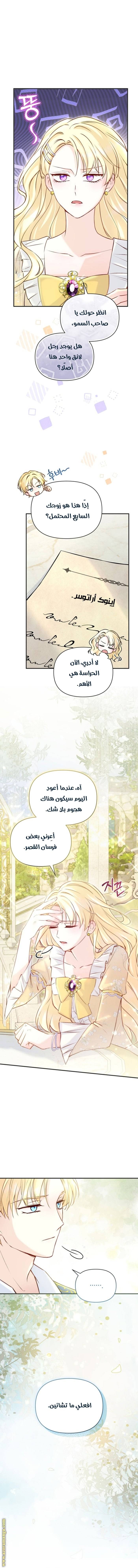 الصفحة 15