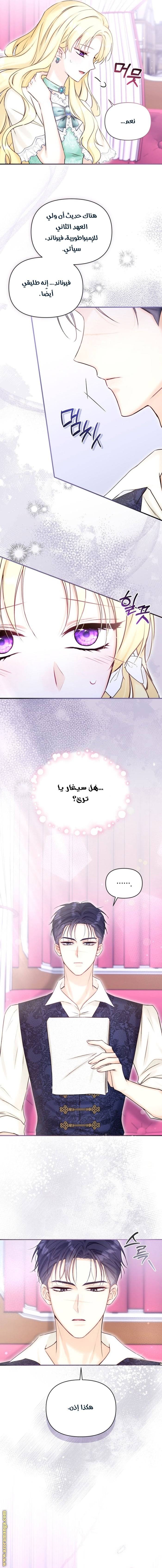 الصفحة 3