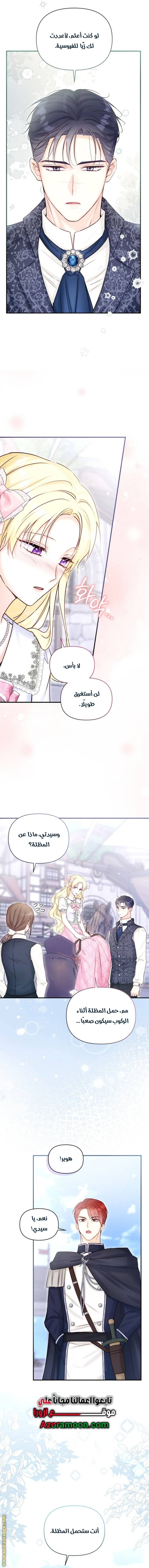 الصفحة 17