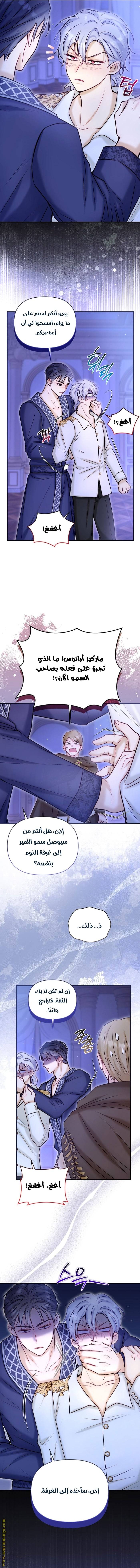الصفحة 3