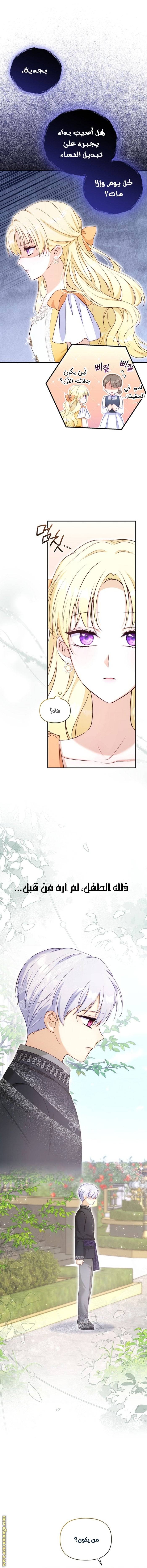 الصفحة 11