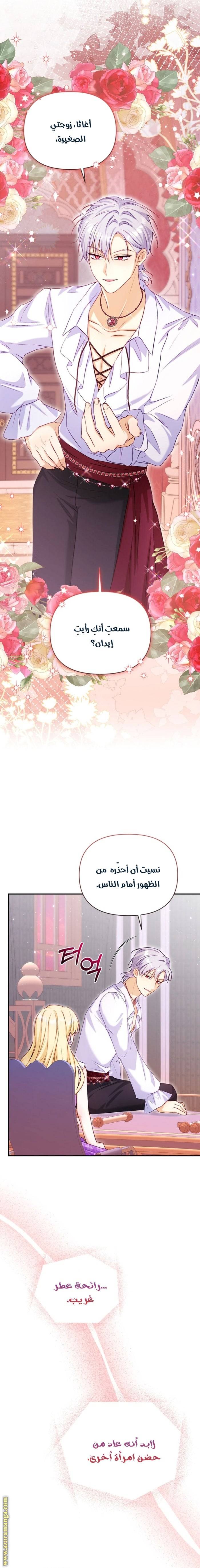 الصفحة 13
