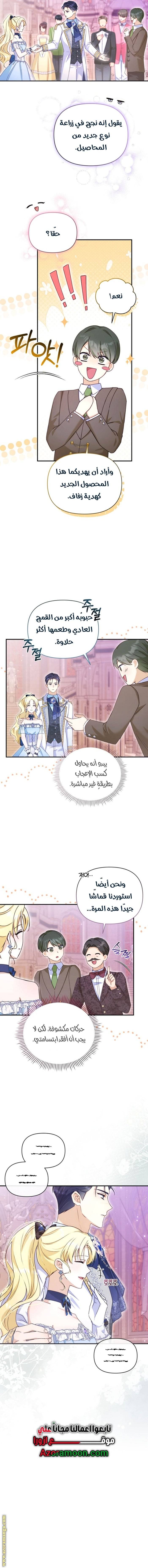 الصفحة 17