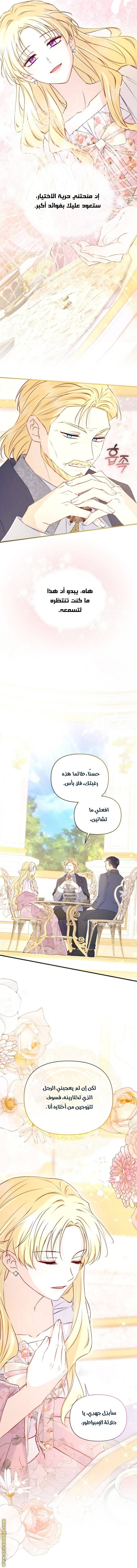 الصفحة 10
