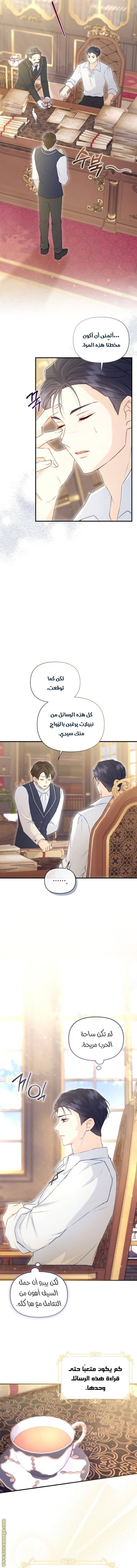 الصفحة 15