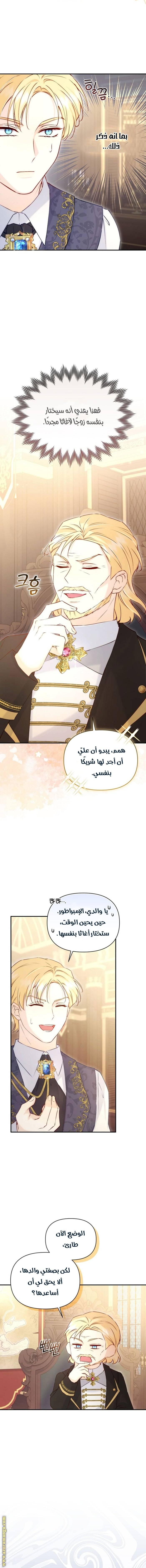 الصفحة 7