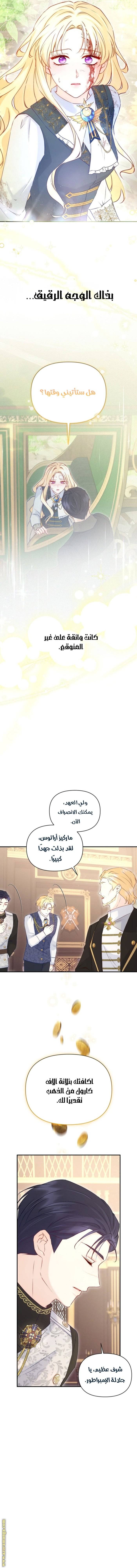 الصفحة 9