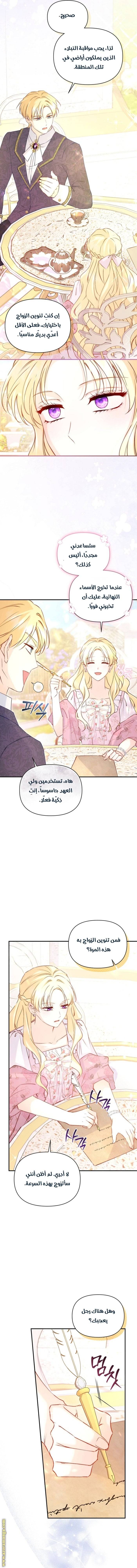 الصفحة 14