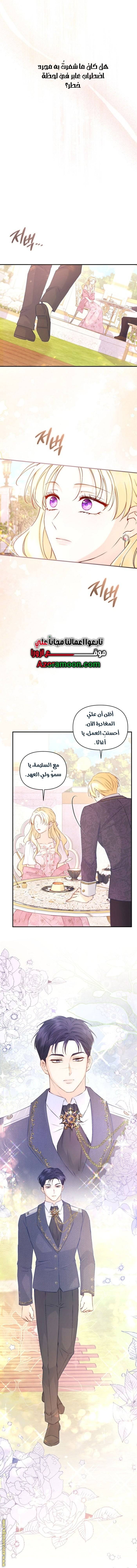 الصفحة 17