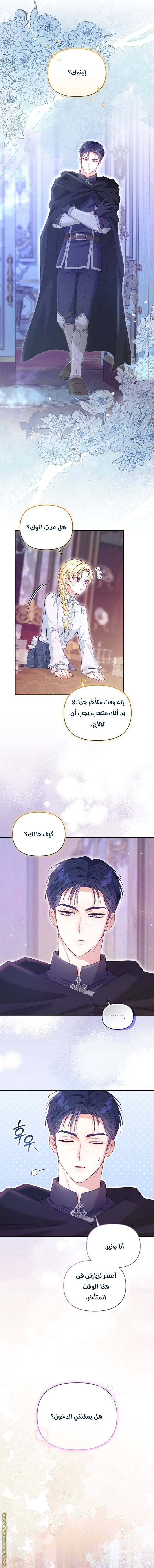الصفحة 11