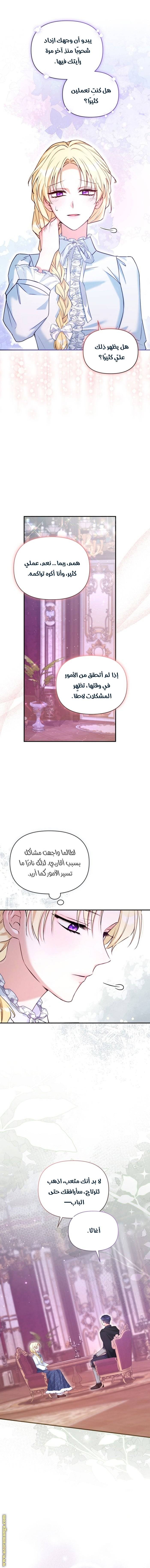 الصفحة 13