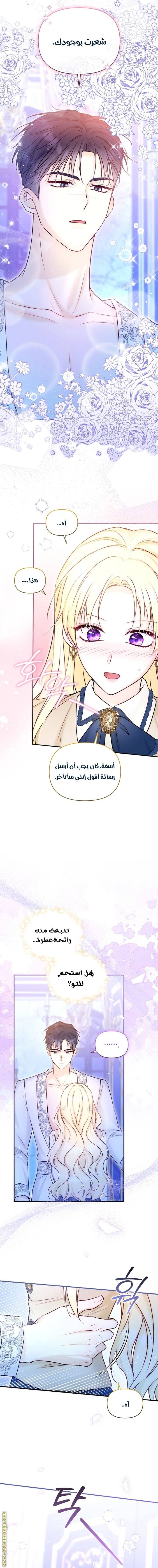الصفحة 11