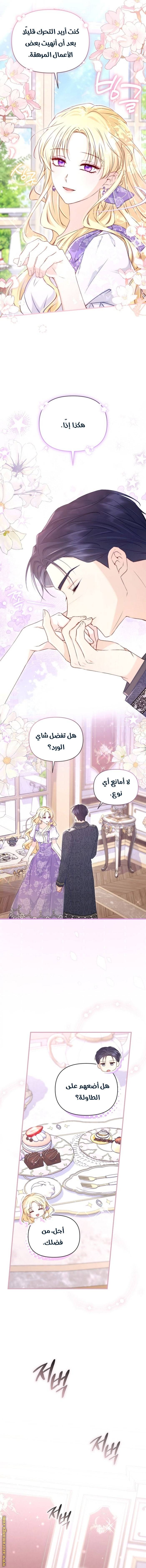 الصفحة 11