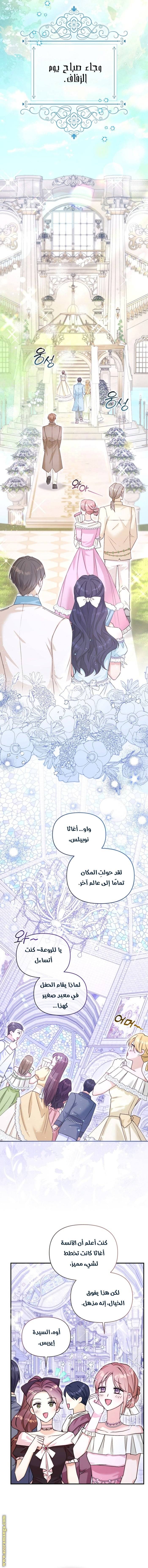 الصفحة 14