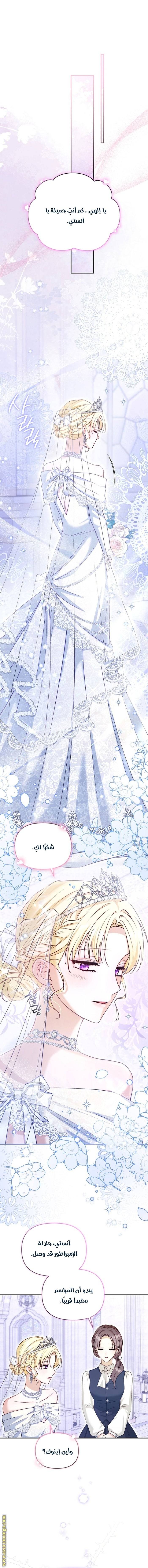 الصفحة 16