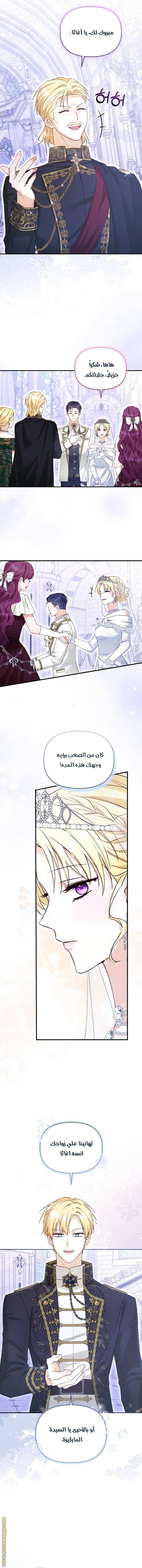 الصفحة 21