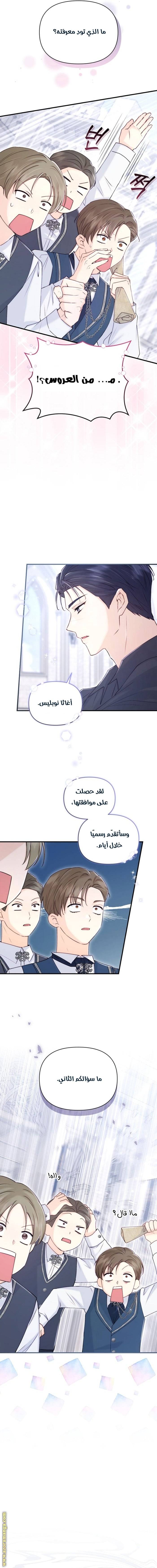 الصفحة 7