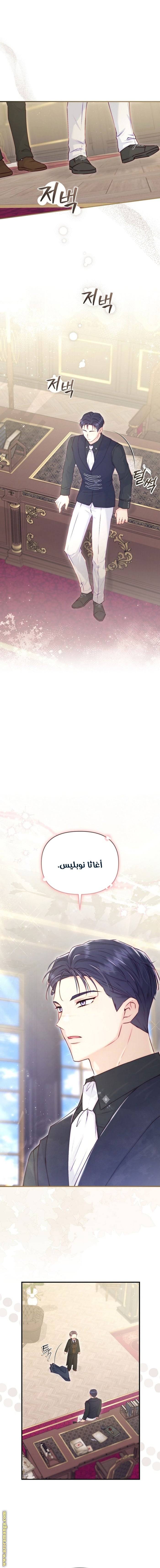 الصفحة 14
