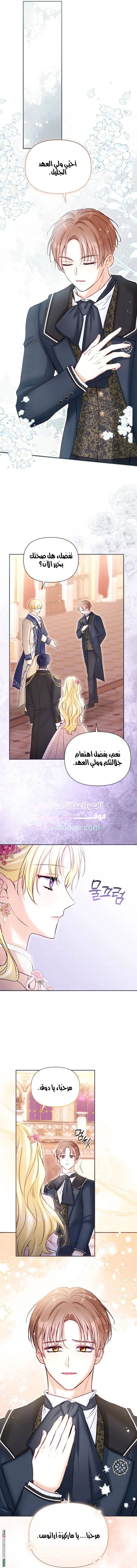 الصفحة 13