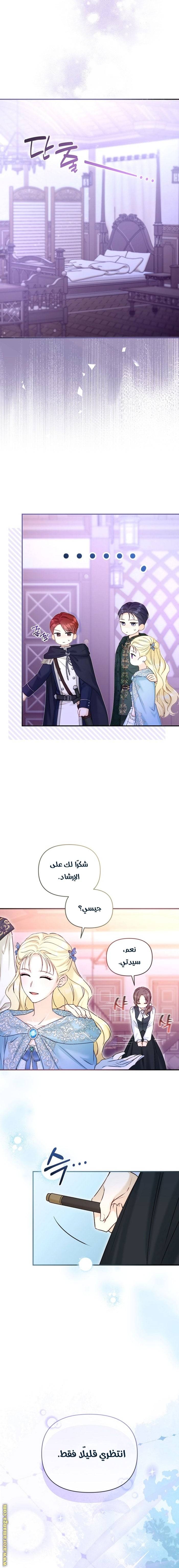 الصفحة 14
