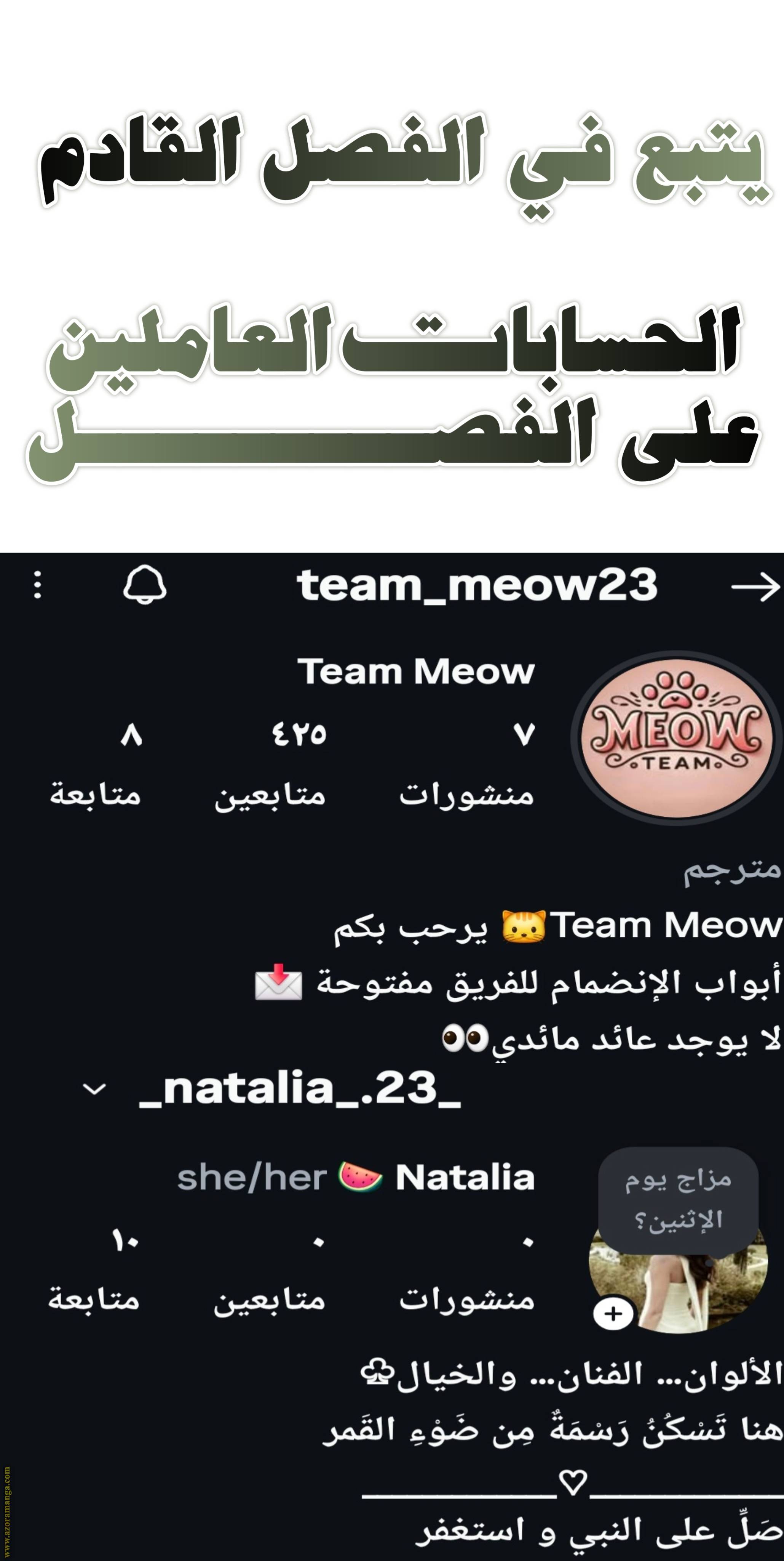 الصفحة 22