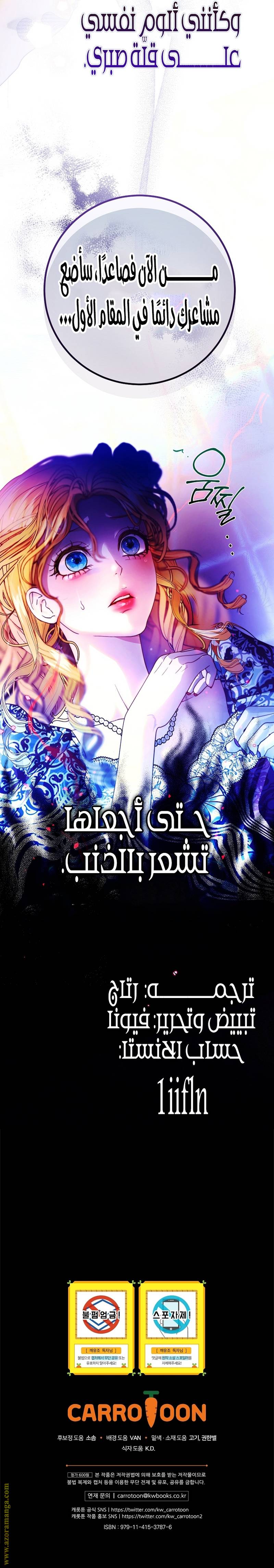 الصفحة 17